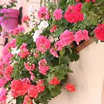 El Pilar Andalucia Estepona