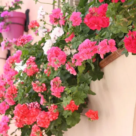 El Pilar Andalucia 埃斯特波纳