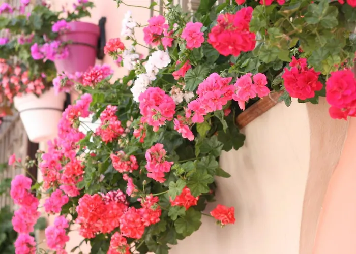 El Pilar Andalucia Estepona